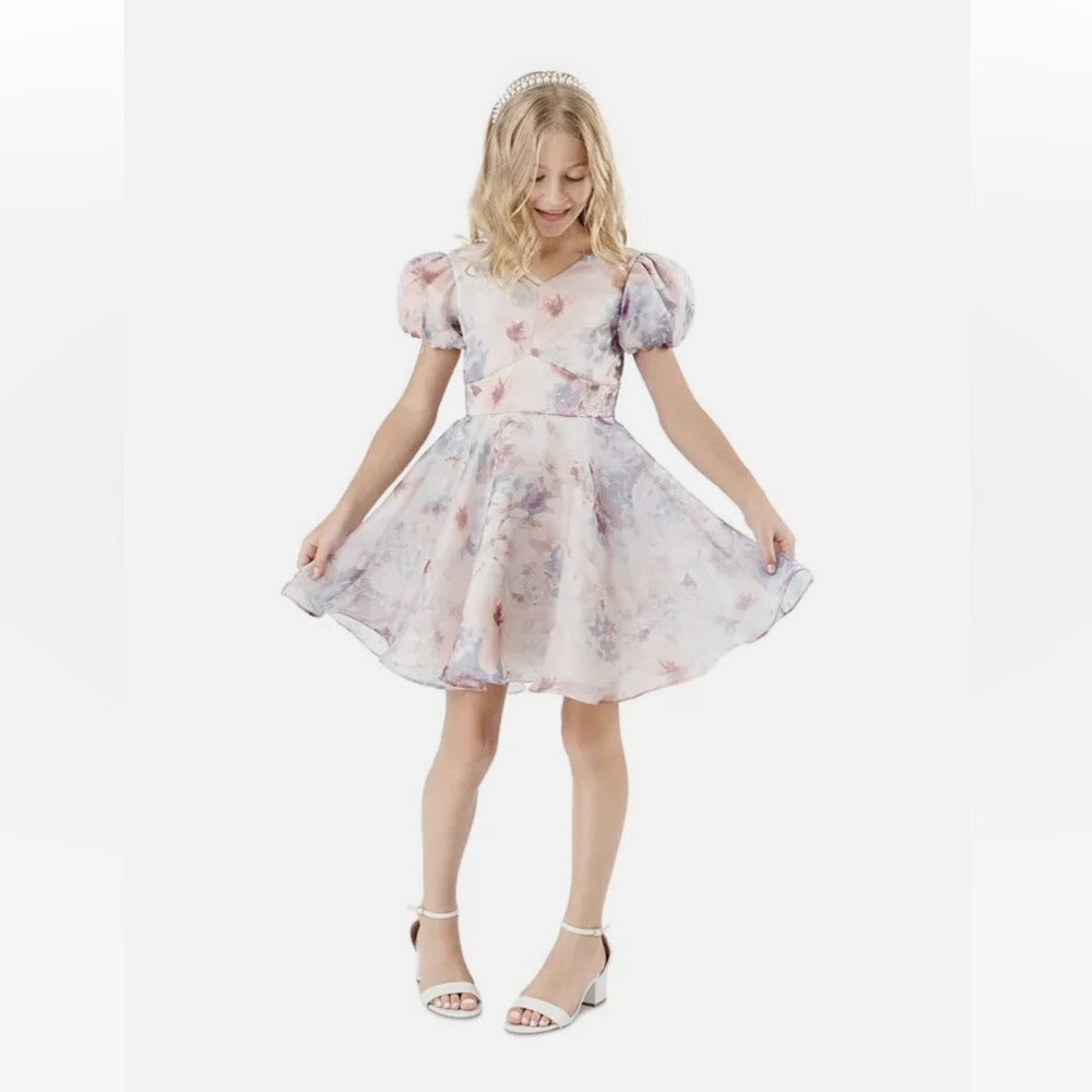 Rare Editions La VIE EN Rose Dress